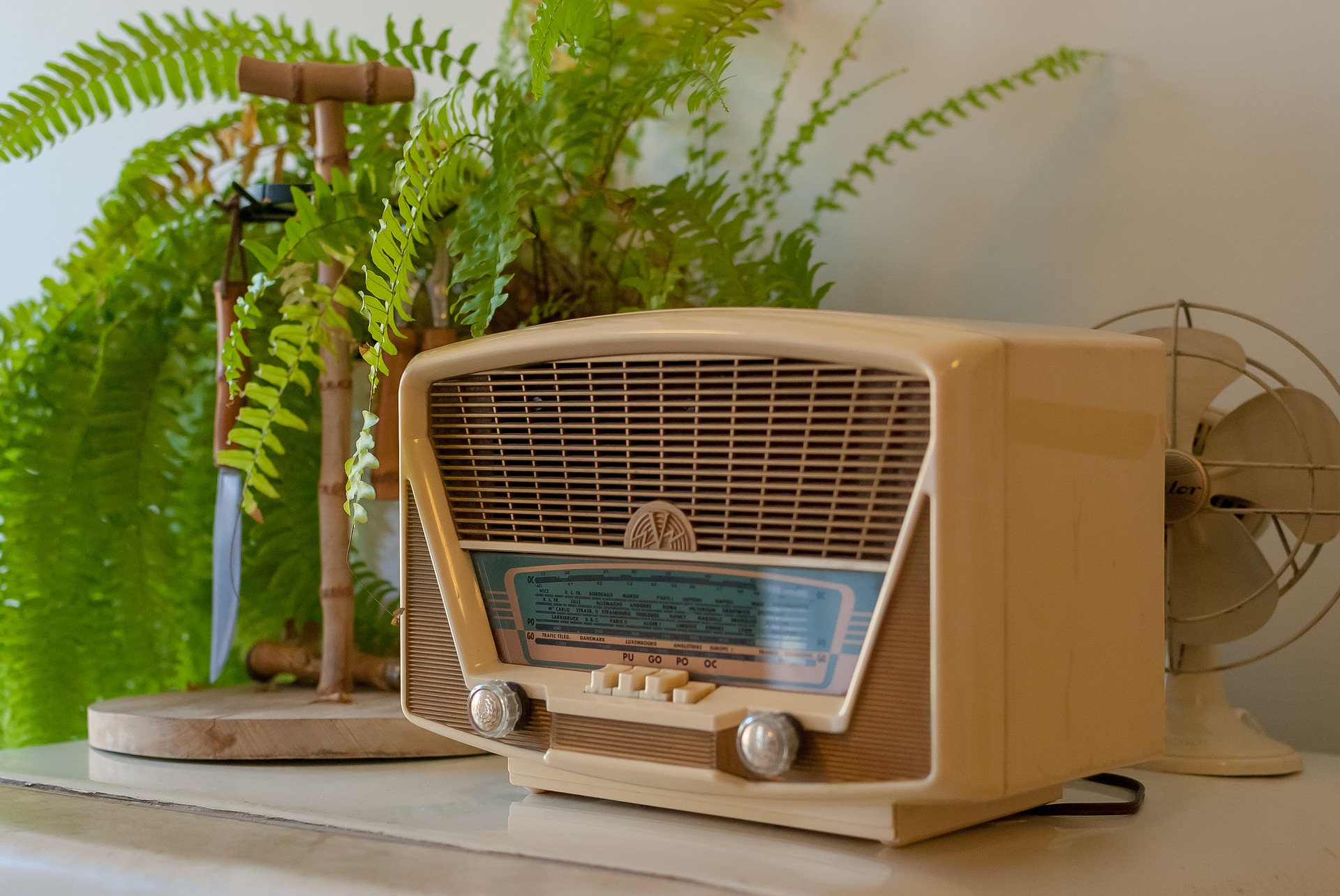 Amazon Echoでインターネットラジオ「TuneIn」を楽しむ